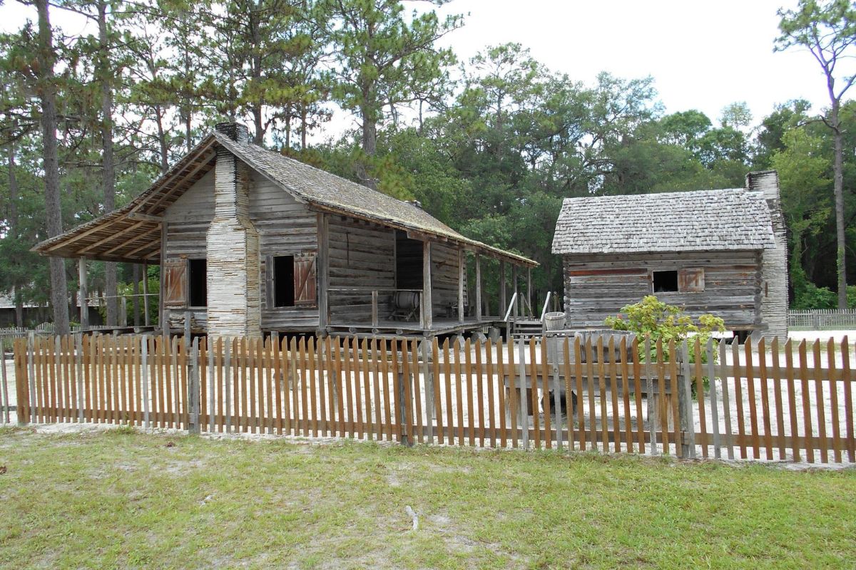 unveil-the-secrets-of-turpentine-at-forest-capital-museum