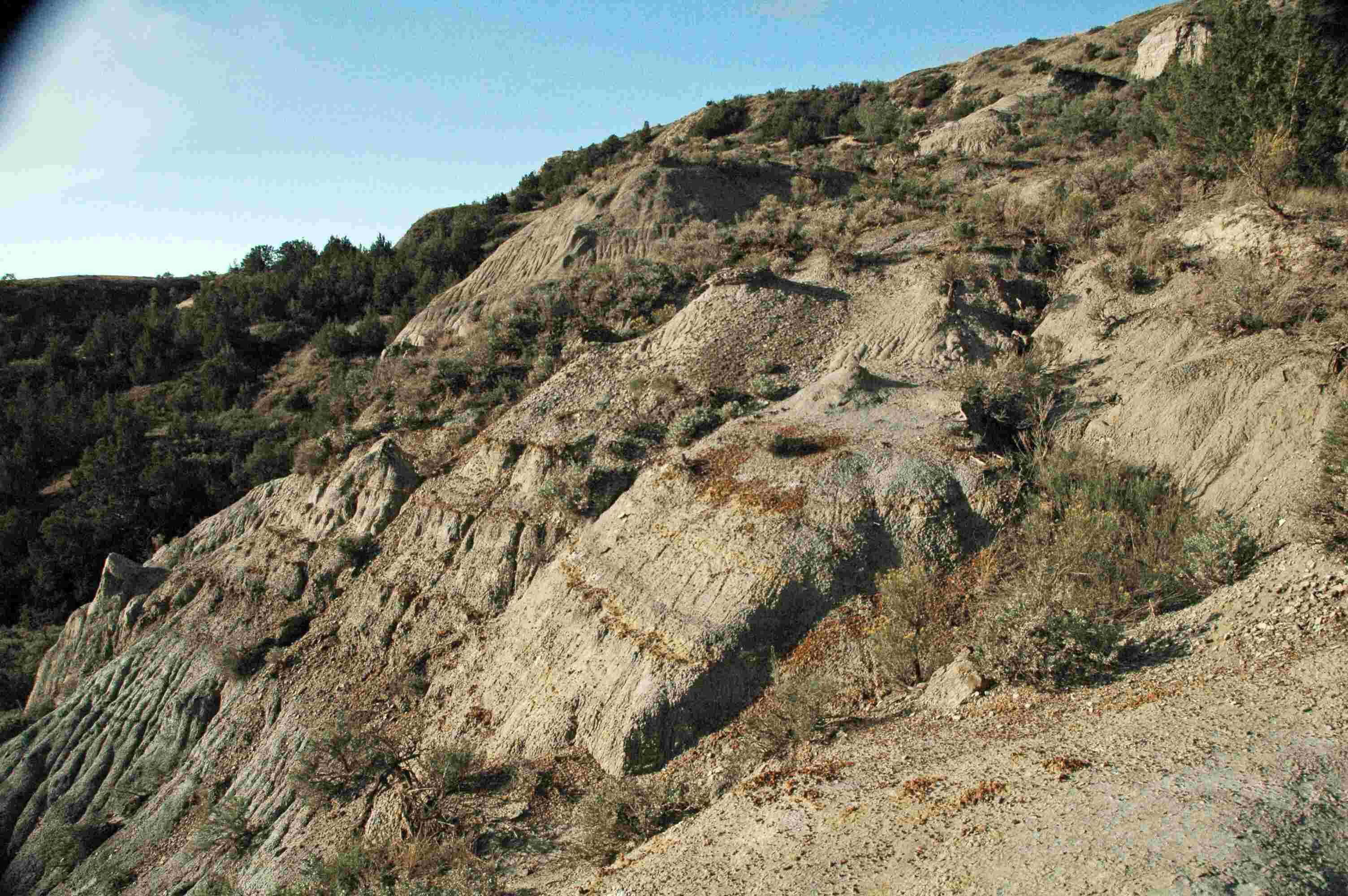 unveil-the-wild-beauty-of-little-missouris-badlands
