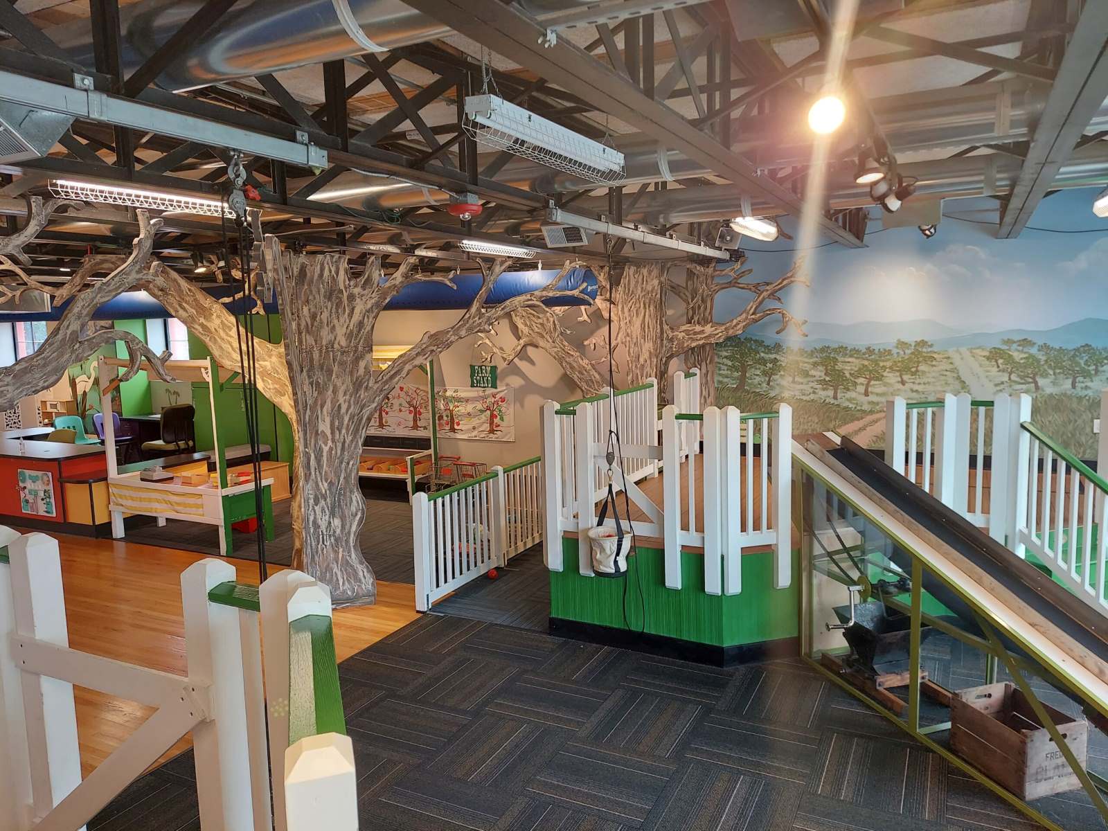 unveil-the-wonders-of-charlottesvilles-discovery-museum