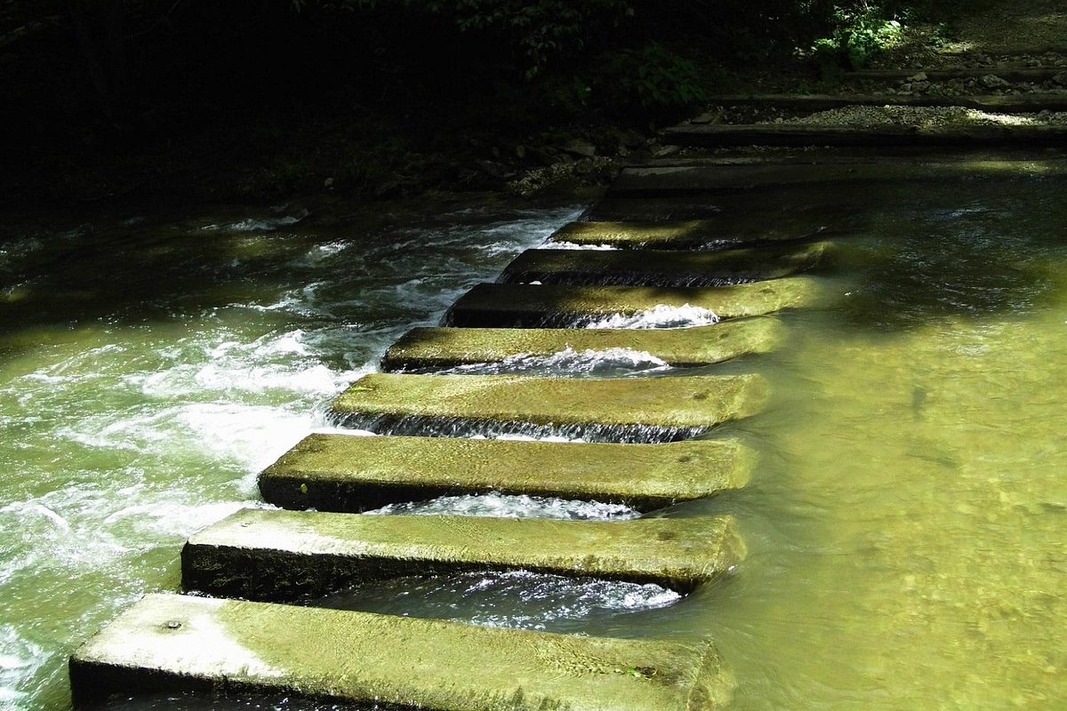 unveil-the-wonders-of-forestvilles-hidden-river