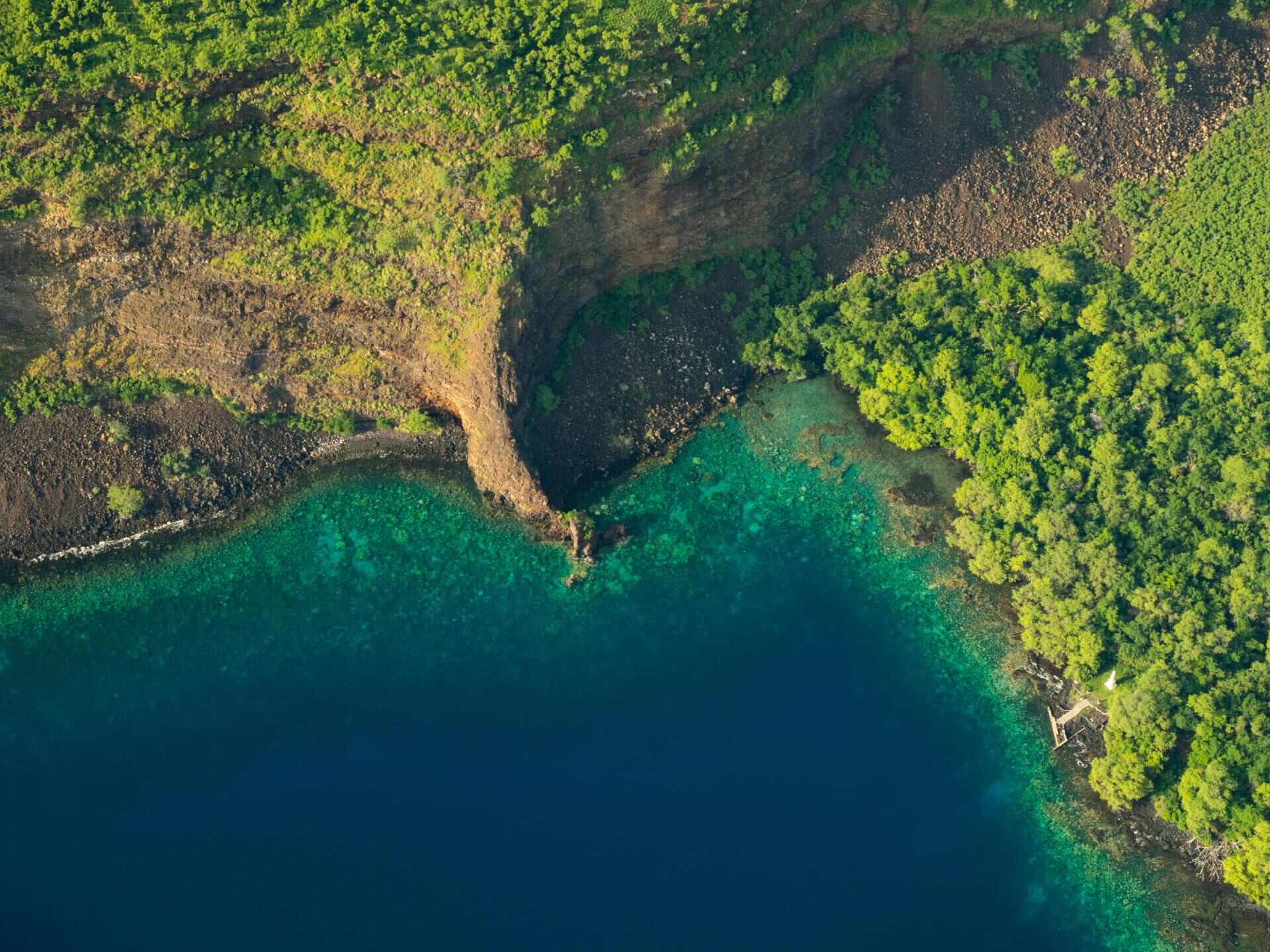 unveil-the-wonders-of-kealakekua-bay-state-park