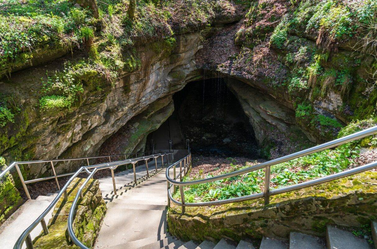 unveil-the-wonders-of-mammoth-dome