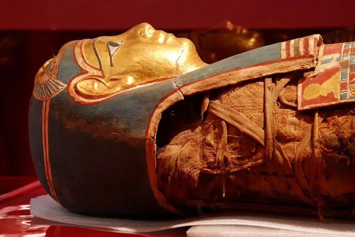 unveil-the-wonders-of-shawnees-mabee-gerrer-museum