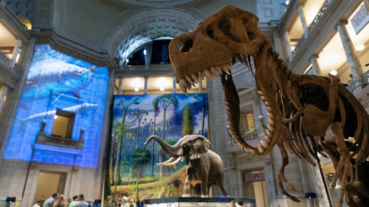 unveil-the-wonders-of-superiors-superior-museum