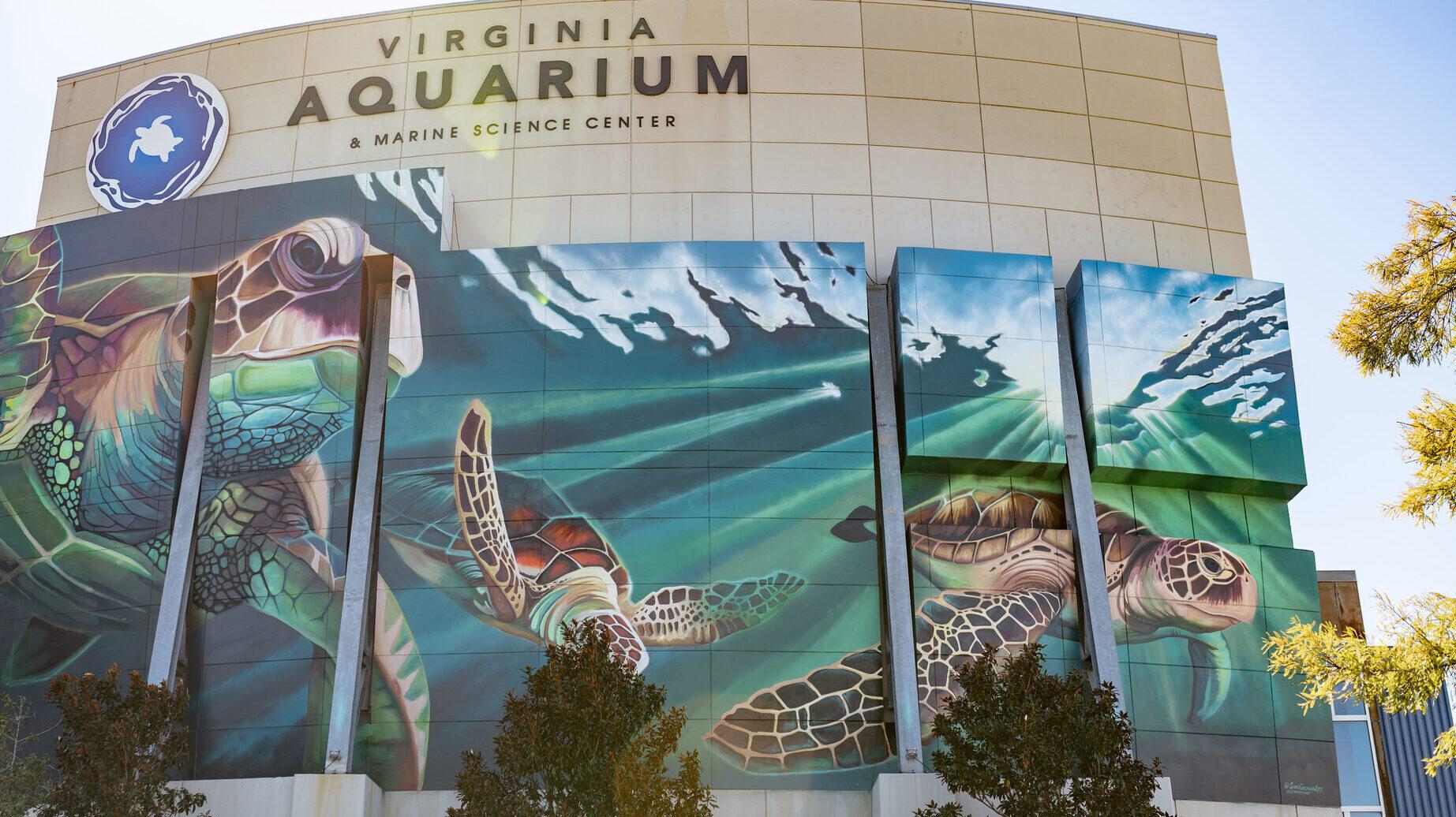 unveil-the-wonders-of-virginia-aquarium-marine-science-center