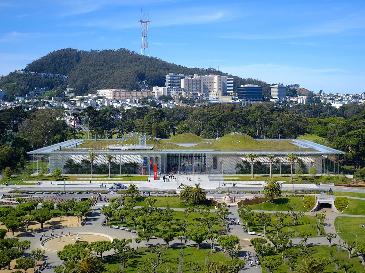 Unveil-Wonders-At-California-Academy-In-Golden-Gate-Park unveil-wonders-at-california-academy-in-golden-gate-park