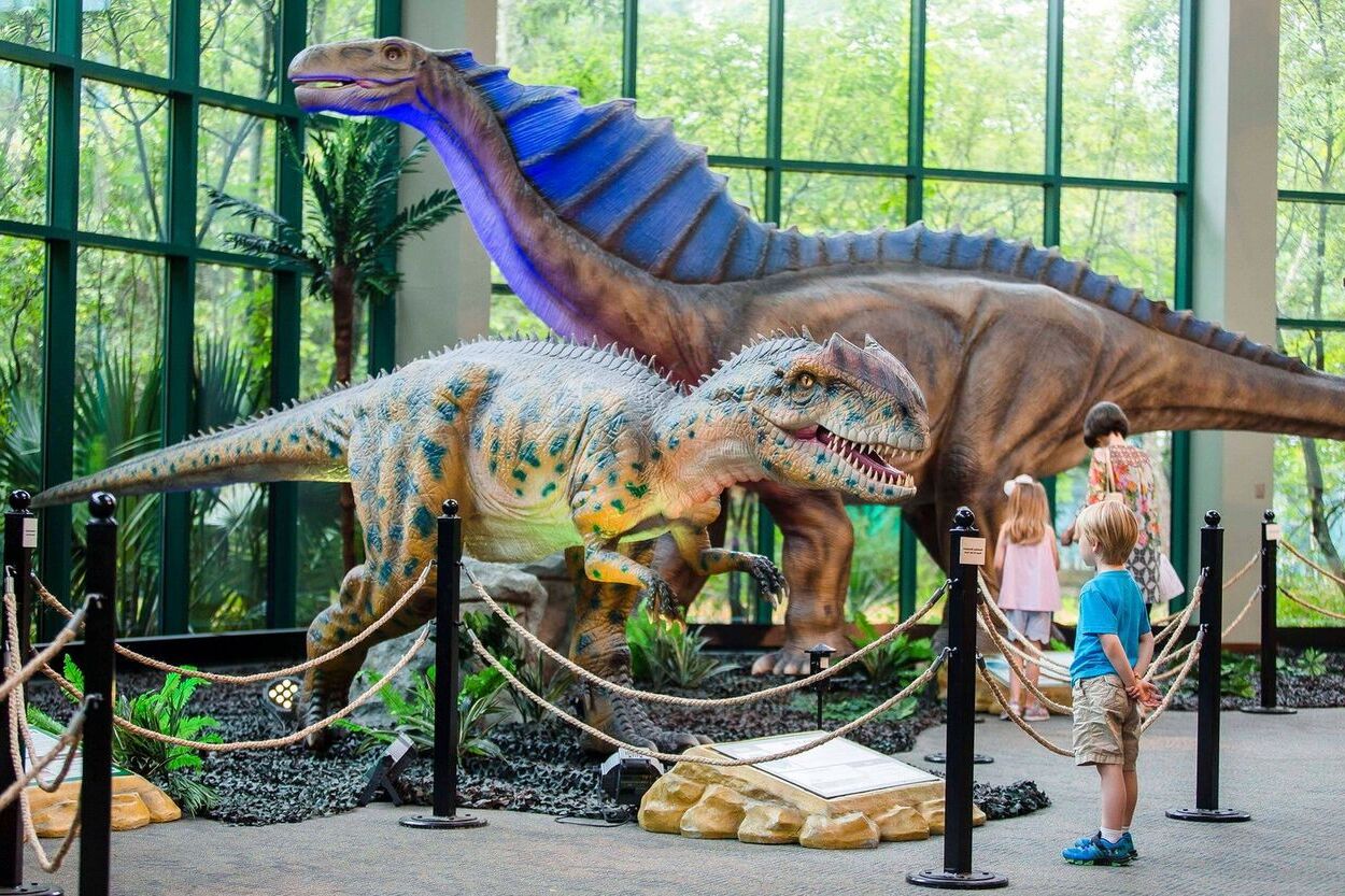 unveil-wonders-at-jacksons-natural-science-museum