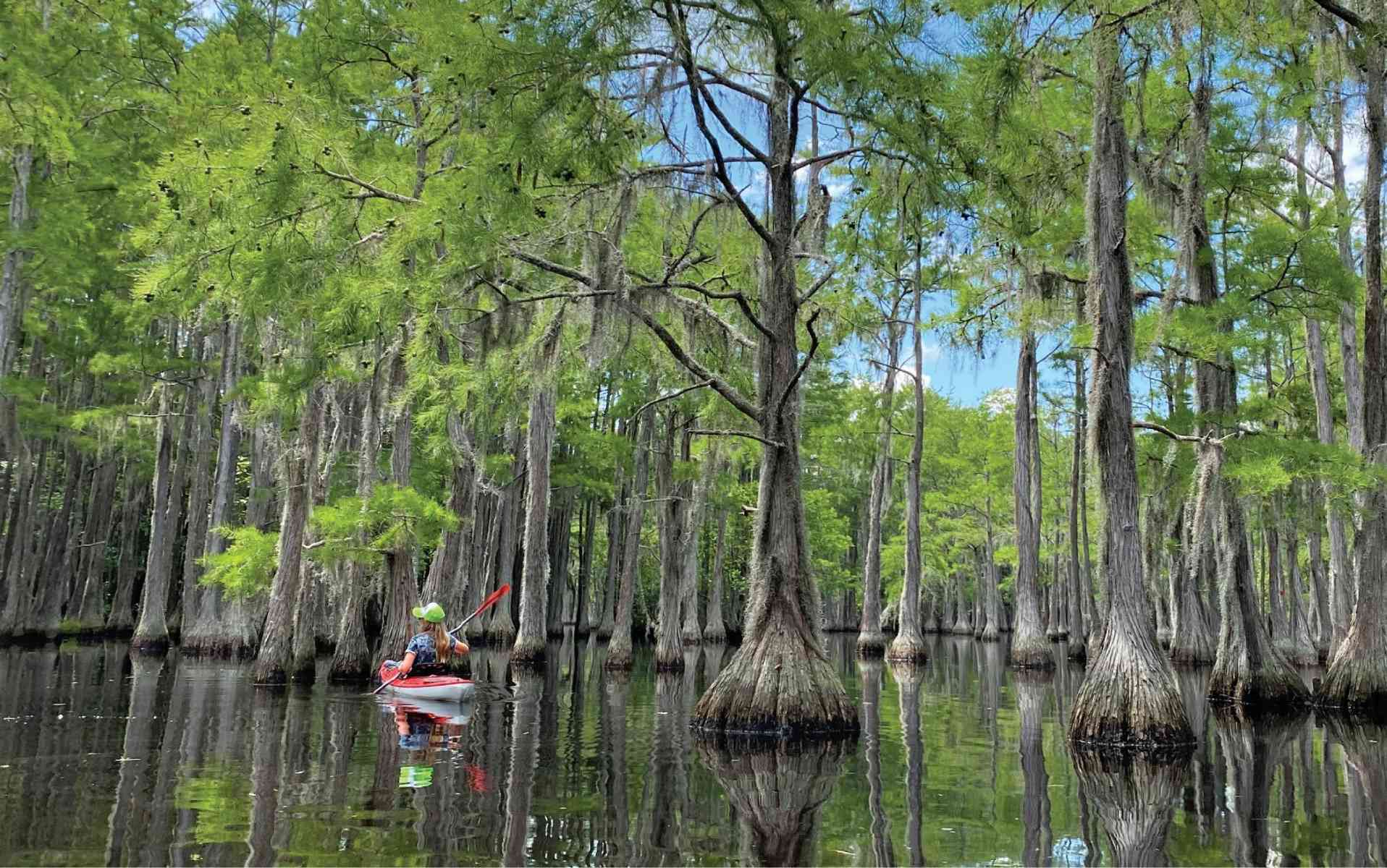 unwind-at-georgias-enchanting-george-l-smith-state-park