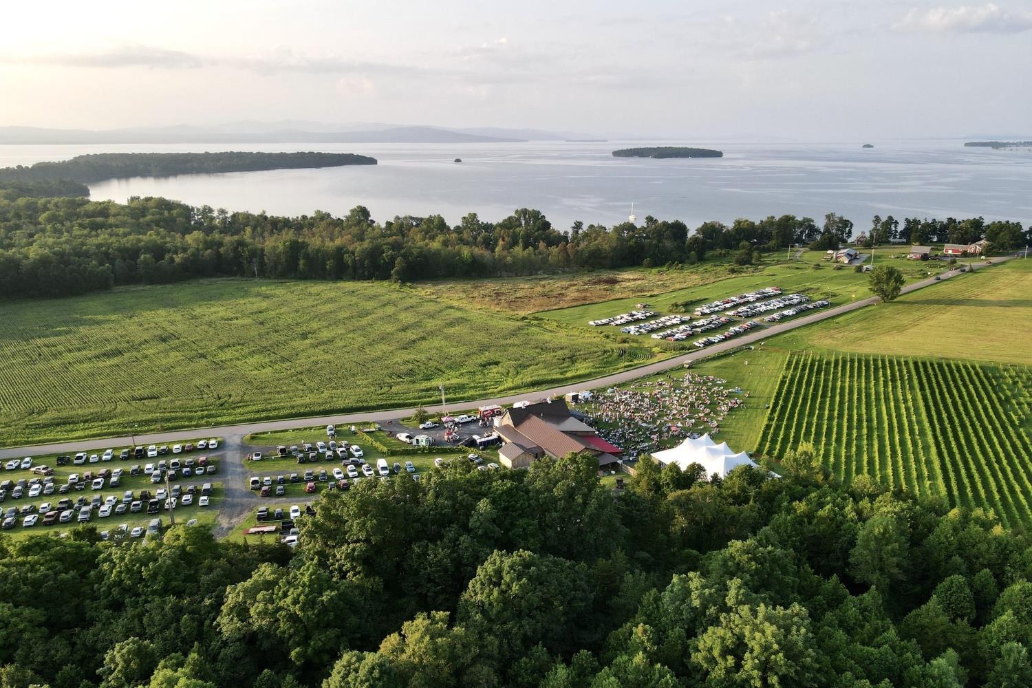 unwind-at-south-heros-enchanting-snow-farm-vineyard