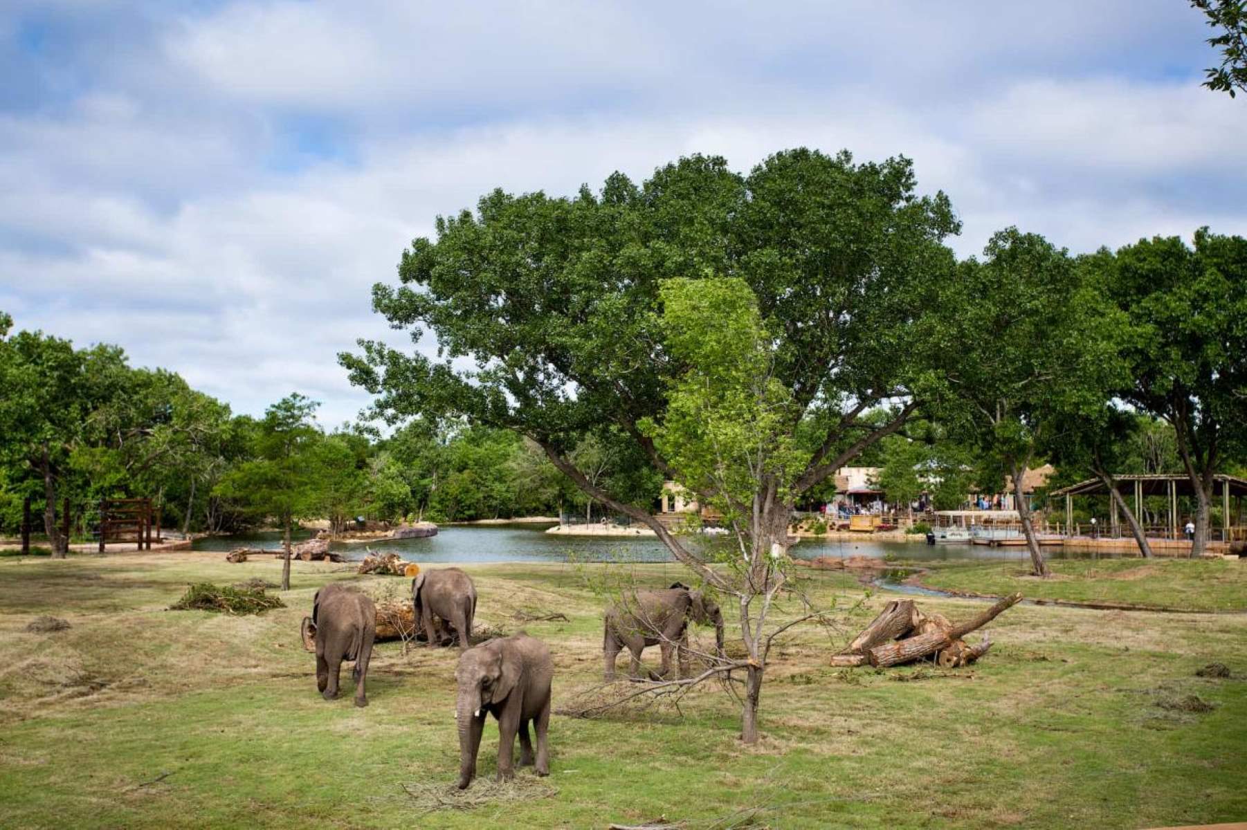Up-Close-With-Wildlife-At-Tanganyika-Park up-close-with-wildlife-at-tanganyika-park