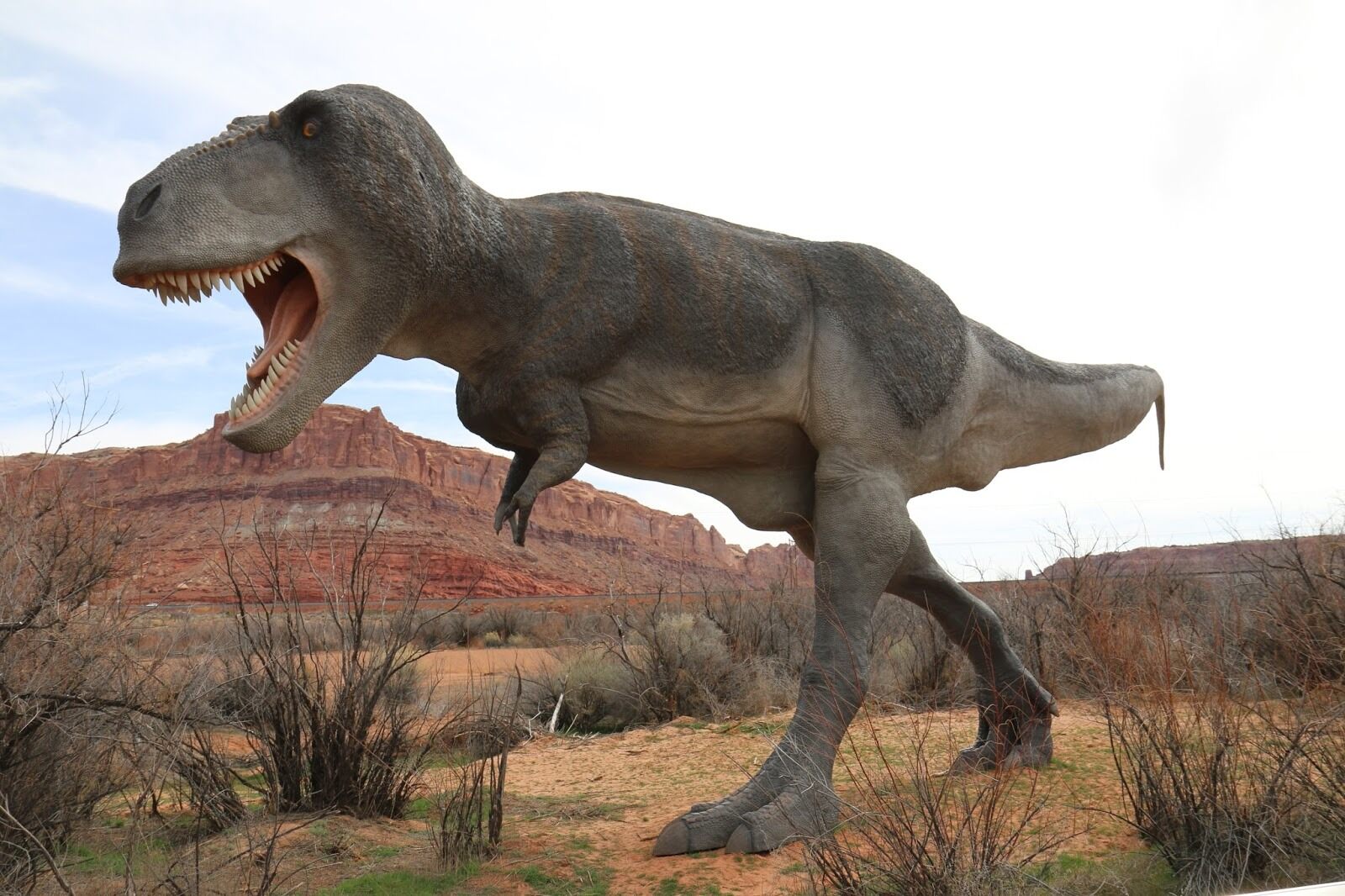 walk-among-giants-at-dinosaur-state-park