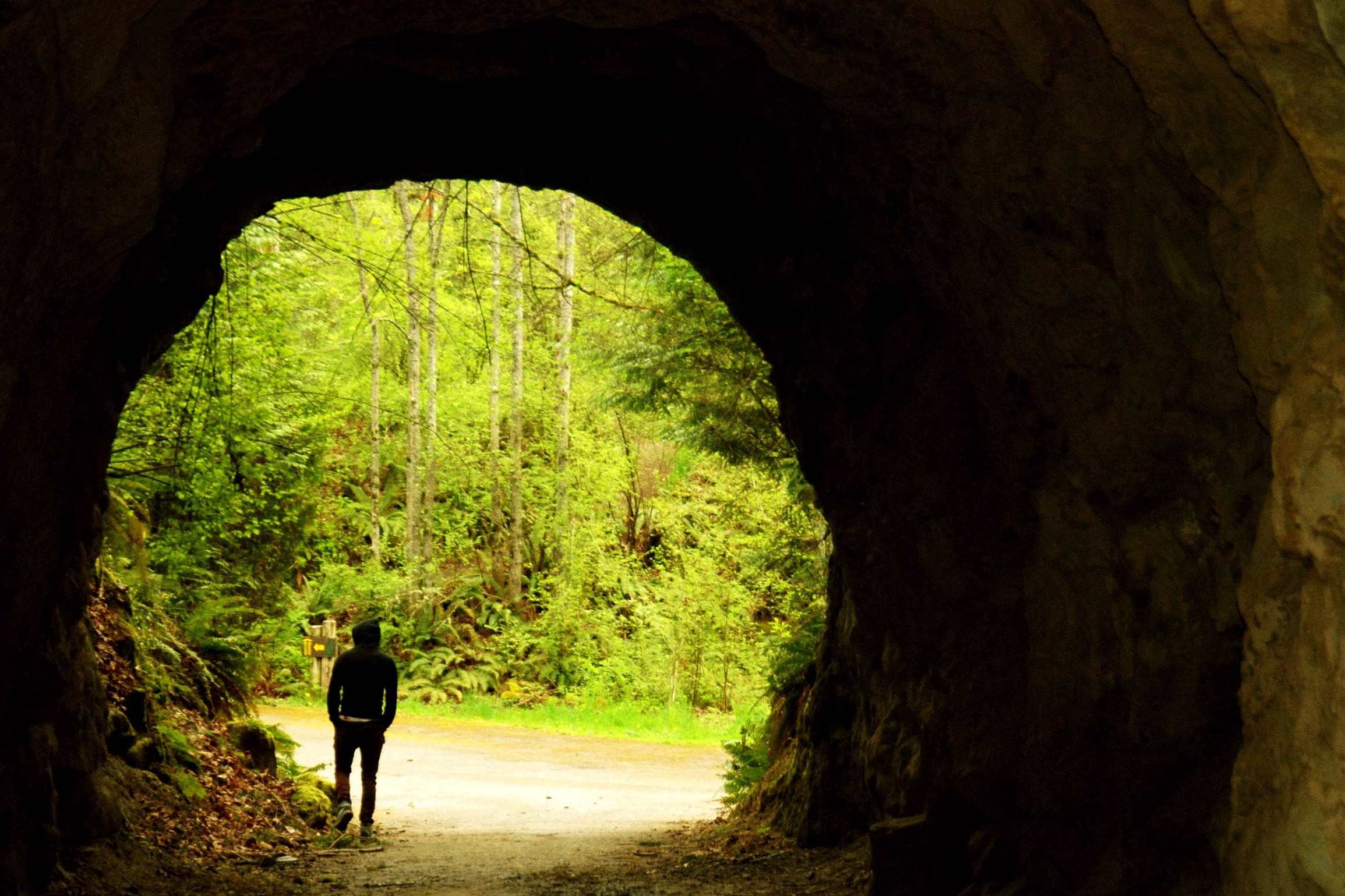 wander-through-bellinghams-sehome-hill-arboretum