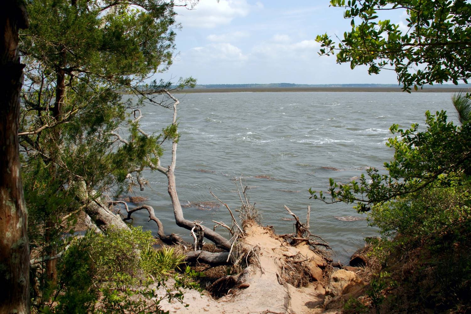 wander-through-georgias-enchanting-crooked-river-park