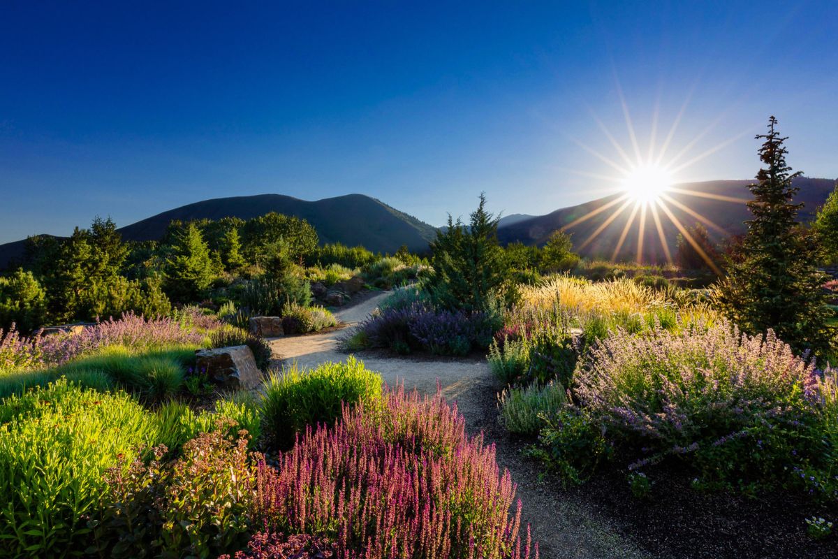 wander-through-ketchums-lush-sawtooth-gardens