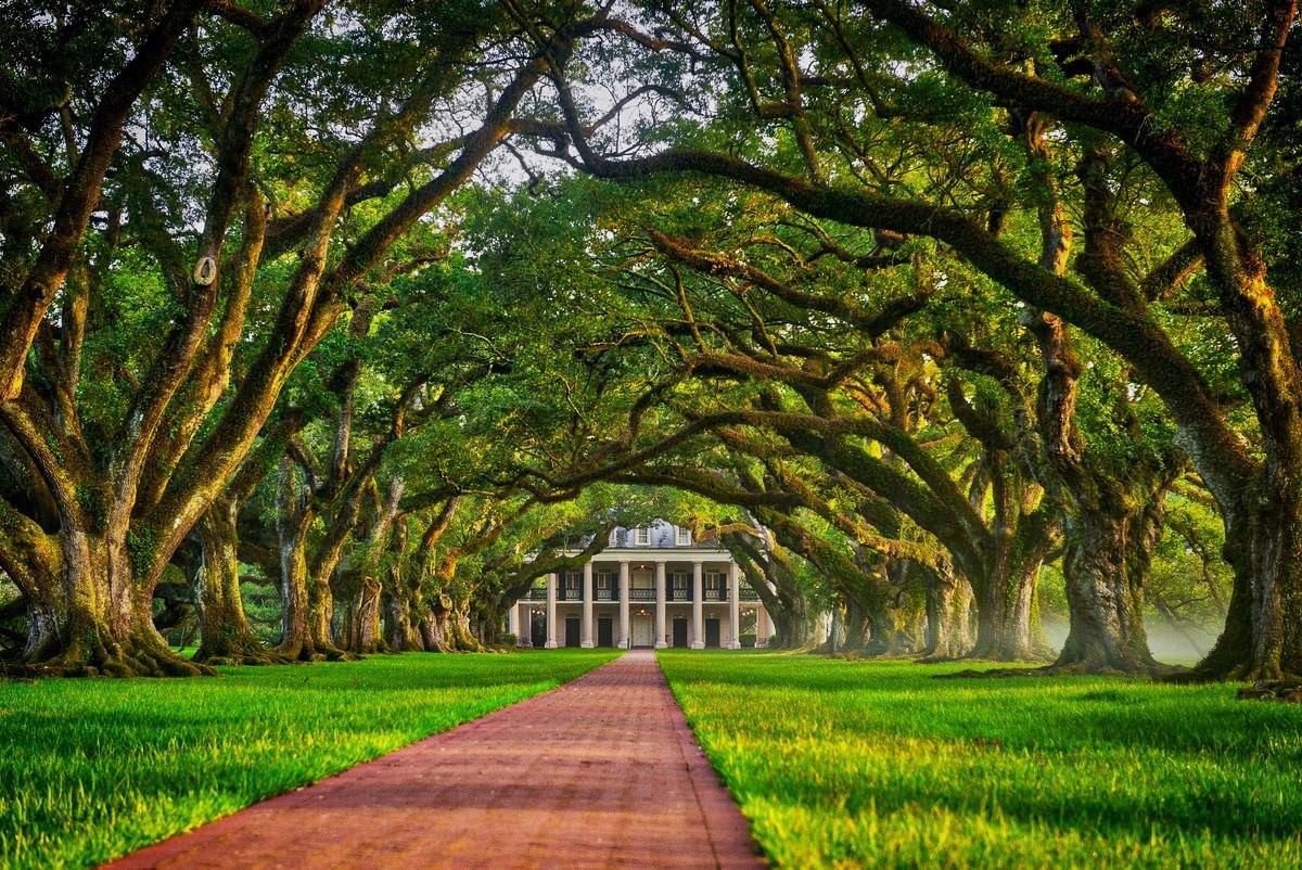 wander-through-paulinas-enchanting-oak-alley