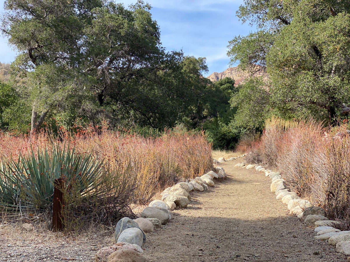 wander-through-placerita-canyons-enchanting-oak-woodlands