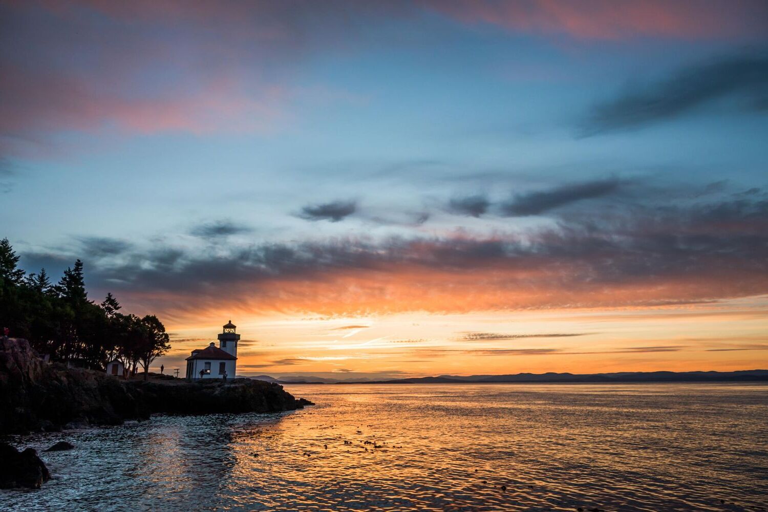 Whale-Watching-Wonders-At-Lime-Kiln-Point whale-watching-wonders-at-lime-kiln-point