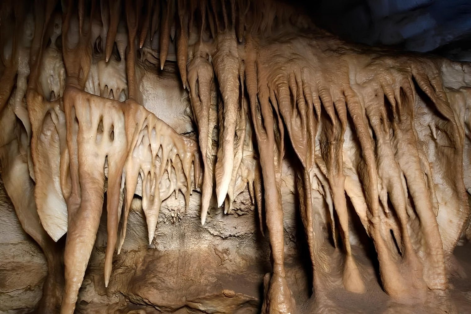 Whispers-In-Wind-Caves-Secrets-Of-Mammoth-Cave-System whispers-in-wind-caves-secrets-of-mammoth-cave-system