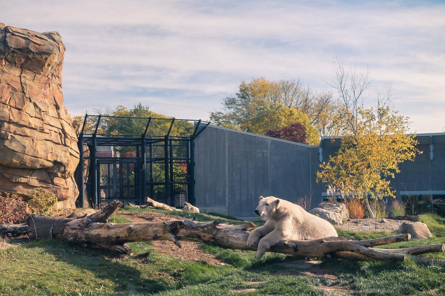 wild-adventures-await-at-madisons-henry-vilas-zoo