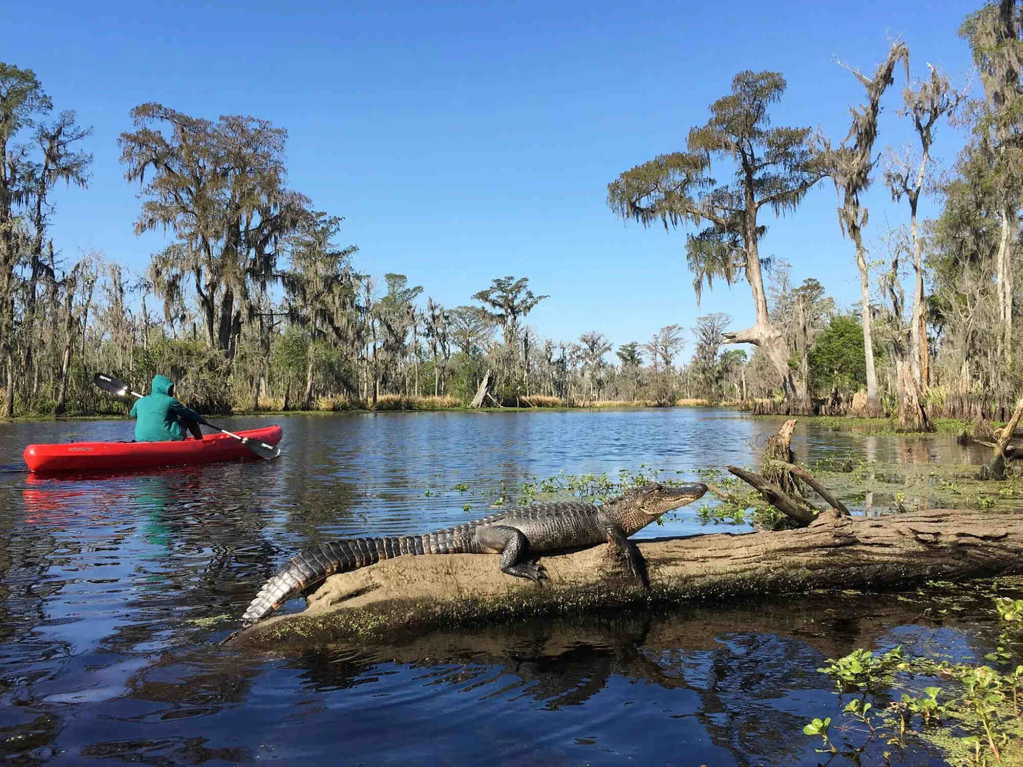 wild-adventures-await-at-maurepas-joyce-wildlife-area