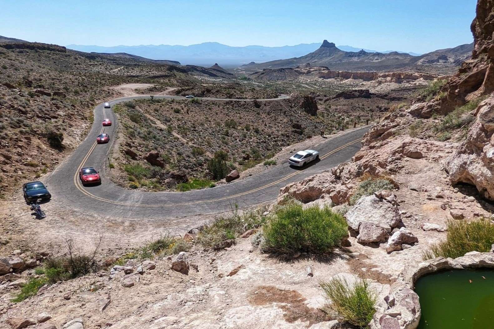 Wild-Burro-Encounters-On-Route-668217s-Oatman-Highway wild-burro-encounters-on-route-66s-oatman-highway