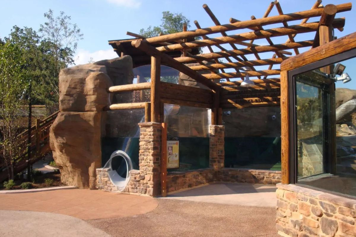 wild-encounters-await-at-akron-zoos-grizzly-ridge