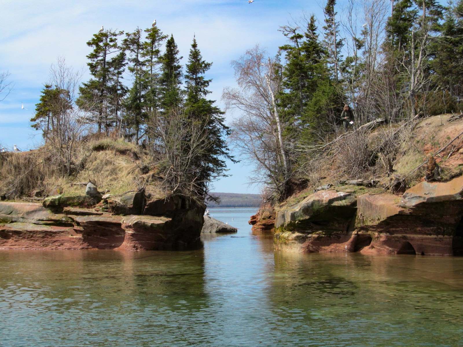 wild-wonders-await-at-apostle-islands-eagle-island