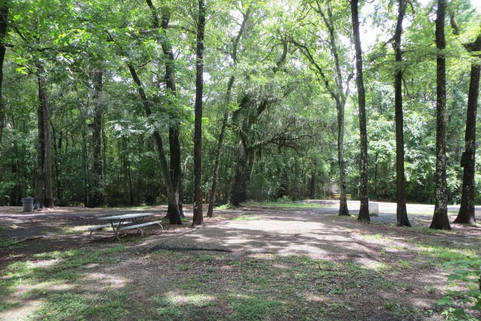 wild-wonders-await-at-carencros-acadiana-park