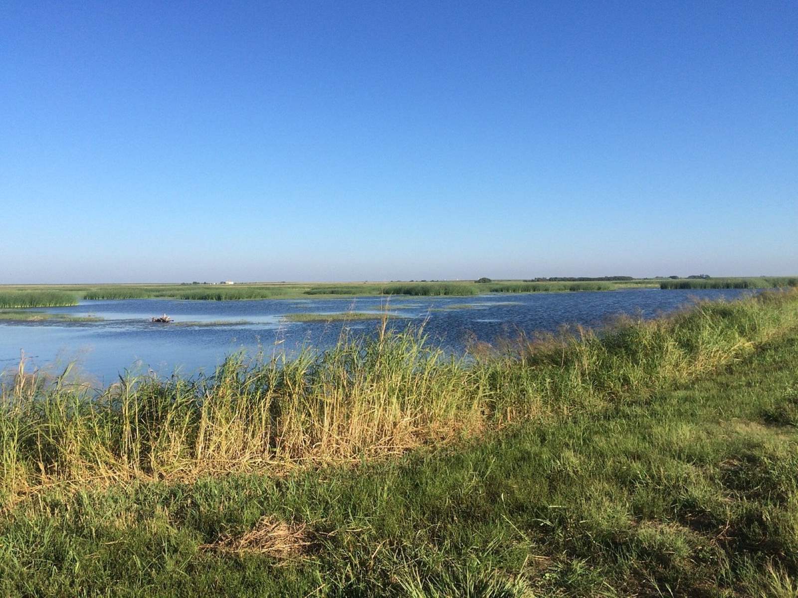 wild-wonders-await-at-hackberry-flat-wildlife-area
