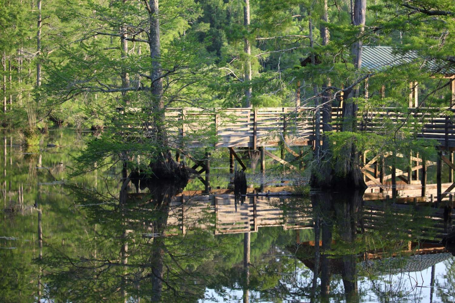 wild-wonders-await-at-noxubee-national-wildlife-refuge