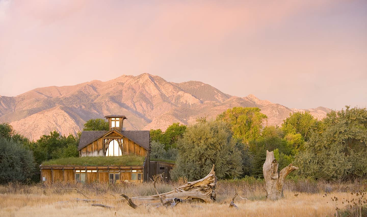 wild-wonders-await-at-ogden-nature-center
