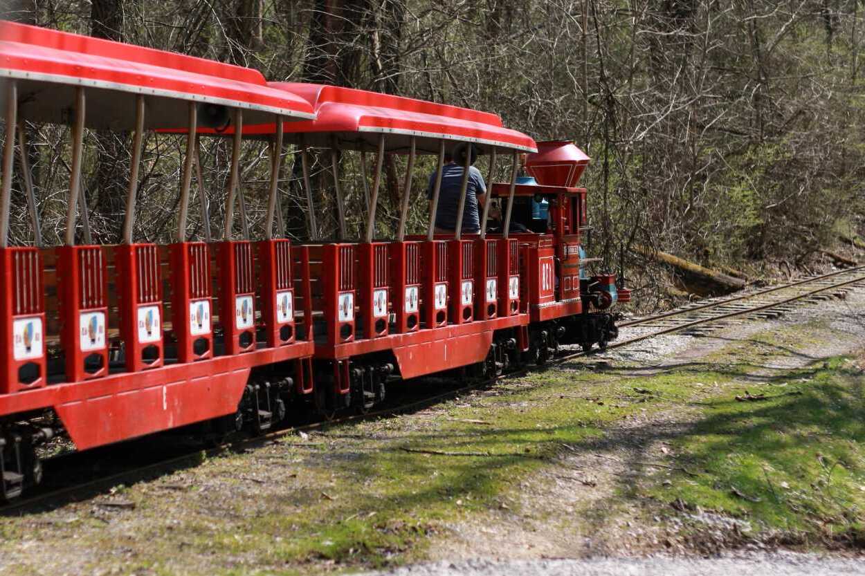 Wild-Wonders-Await-At-Wheeling8217s-Oglebay-Good-Zoo wild-wonders-await-at-wheelings-oglebay-good-zoo