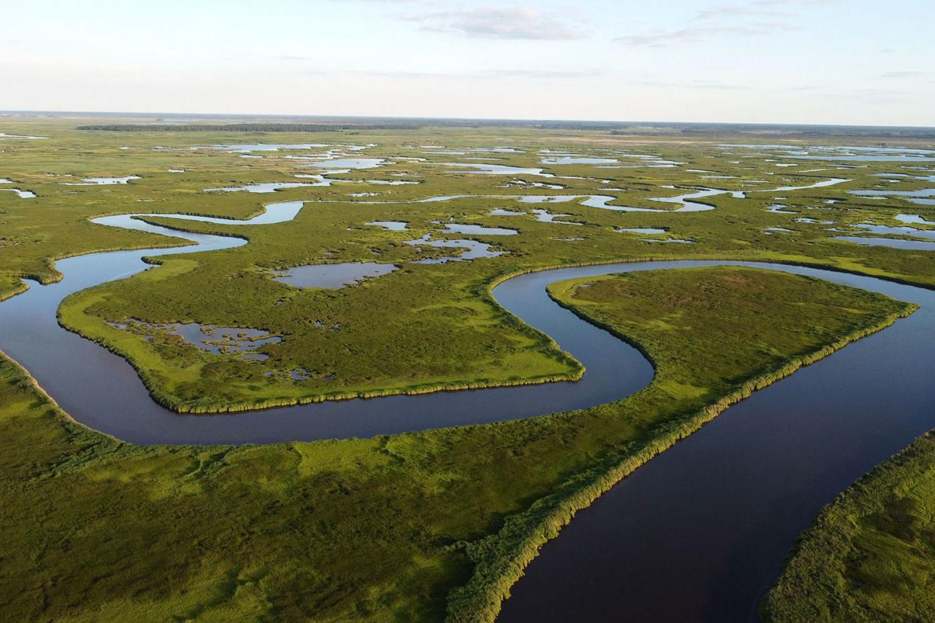 wildlife-wonders-await-at-blackwater-refuge