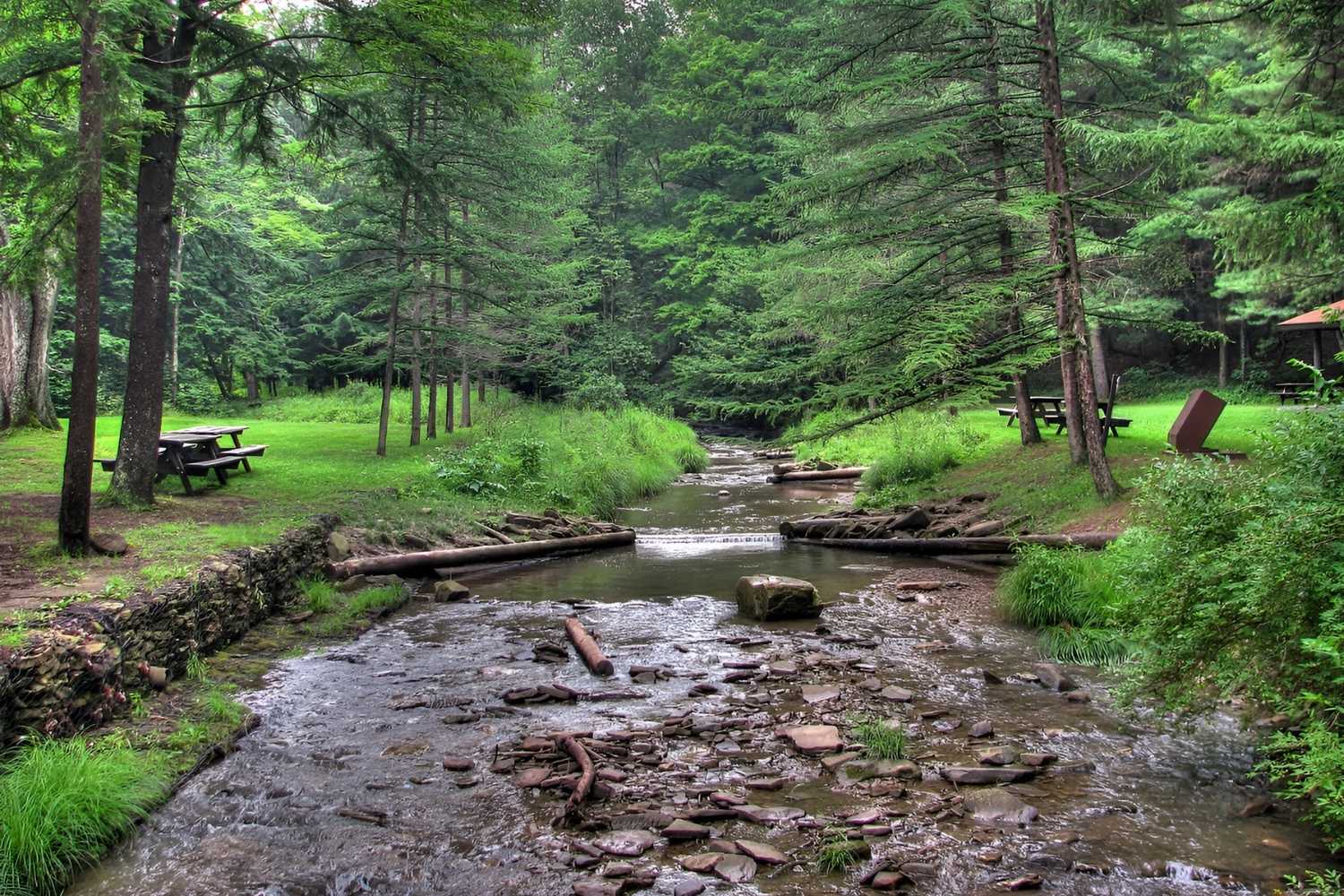 wildlife-wonders-await-at-sizerville-state-park