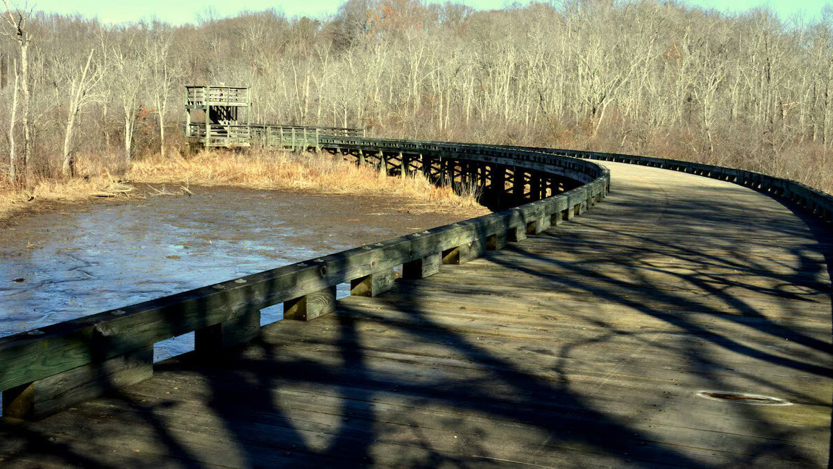 wildlife-wonders-merkle-sanctuarys-scenic-drive