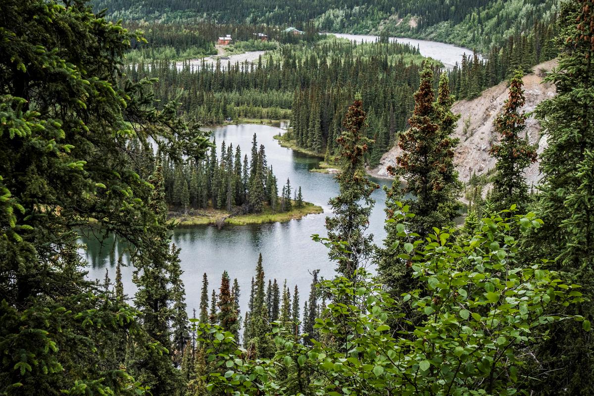 wildlife-wonders-on-denalis-horseshoe-lake-trail