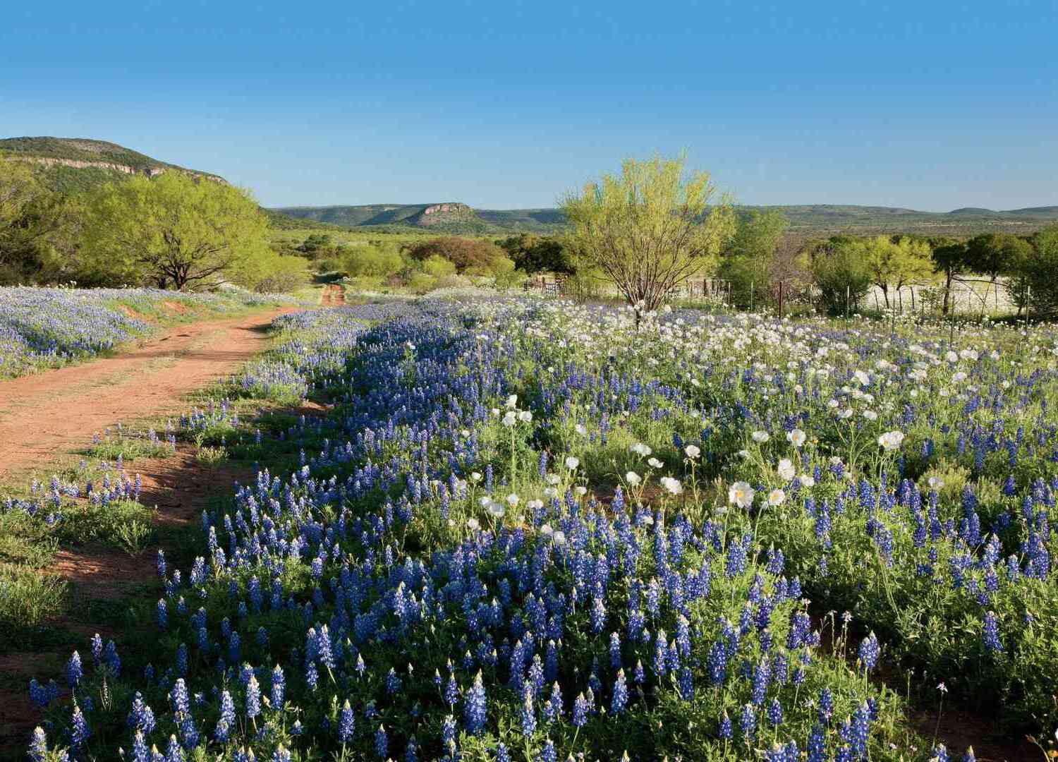 15-hidden-towns-in-the-texas-hill-country-you-must-see-touristsecrets