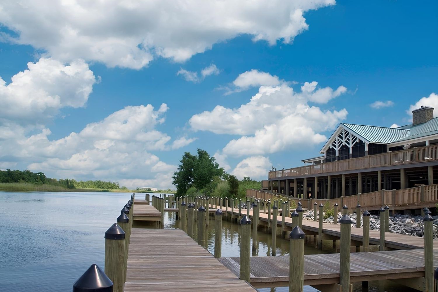 Alabama8217s-Secret-Delta-Waterways alabamas-secret-delta-waterways