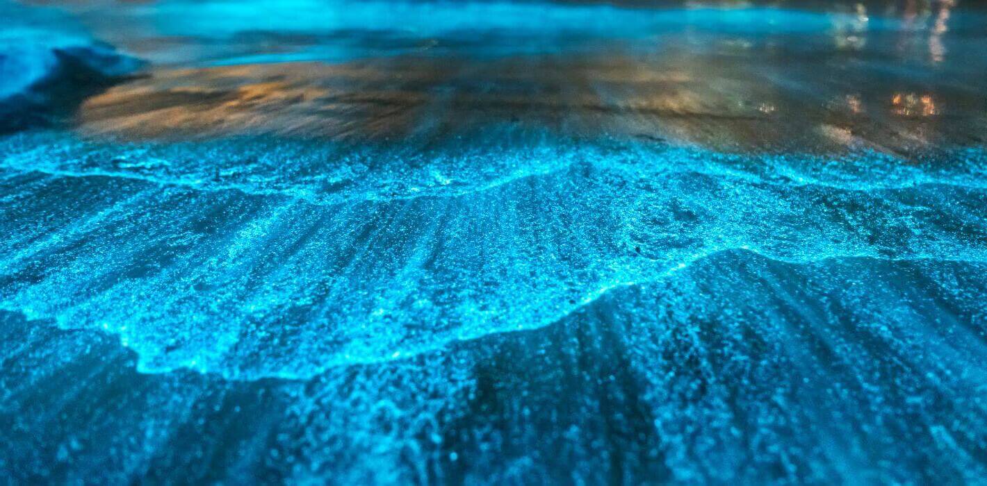 America8217s-Secret-Glowing-Waters-Of-Puerto-Rico americas-secret-glowing-waters-of-puerto-rico