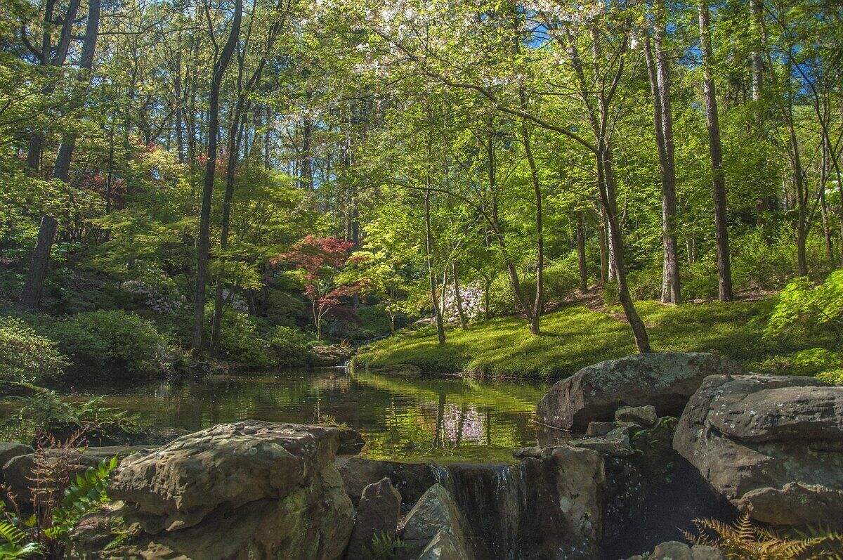 arkansas-secret-garvan-woodland-gardens-in-hot-springs