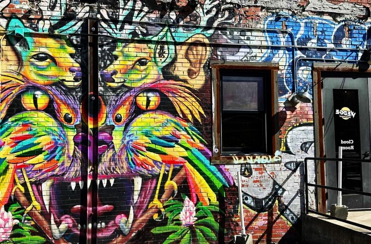 ashevilles-thriving-art-wonderland