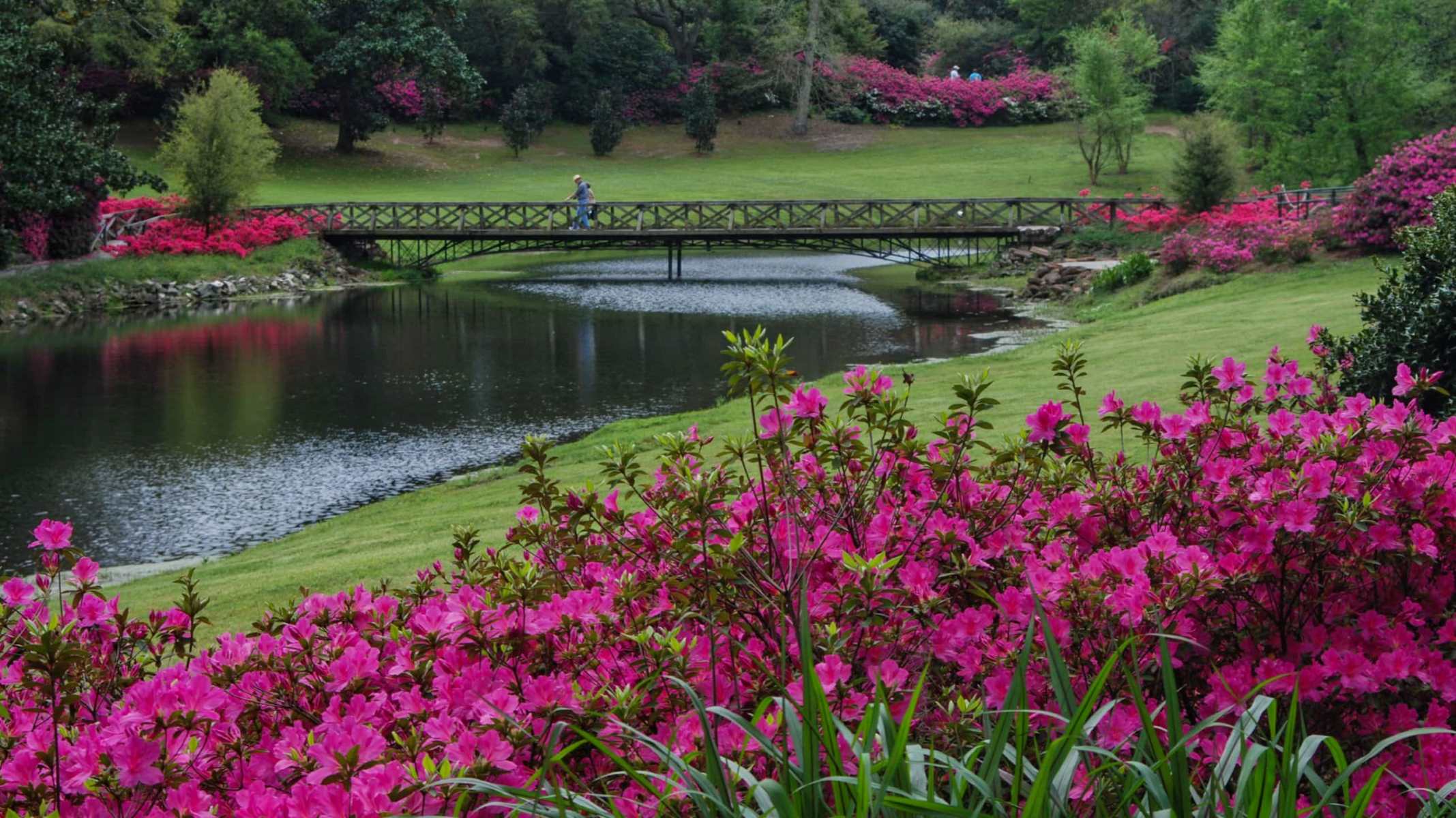 breathtaking-blooms-at-bellingrath-gardens