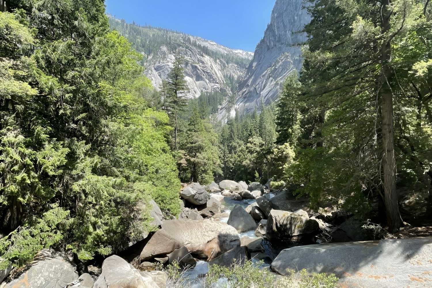 calico-californias-hidden-forest-tales