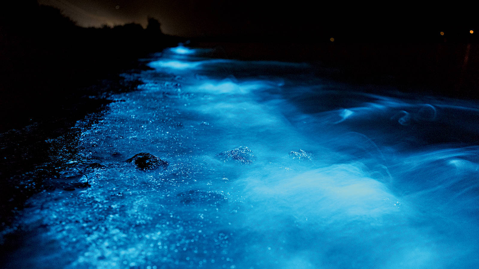 California8217s-Hidden-Bioluminescent-Bays-Spark-Nighttime-Wonder californias-hidden-bioluminescent-bays-spark-nighttime-wonder