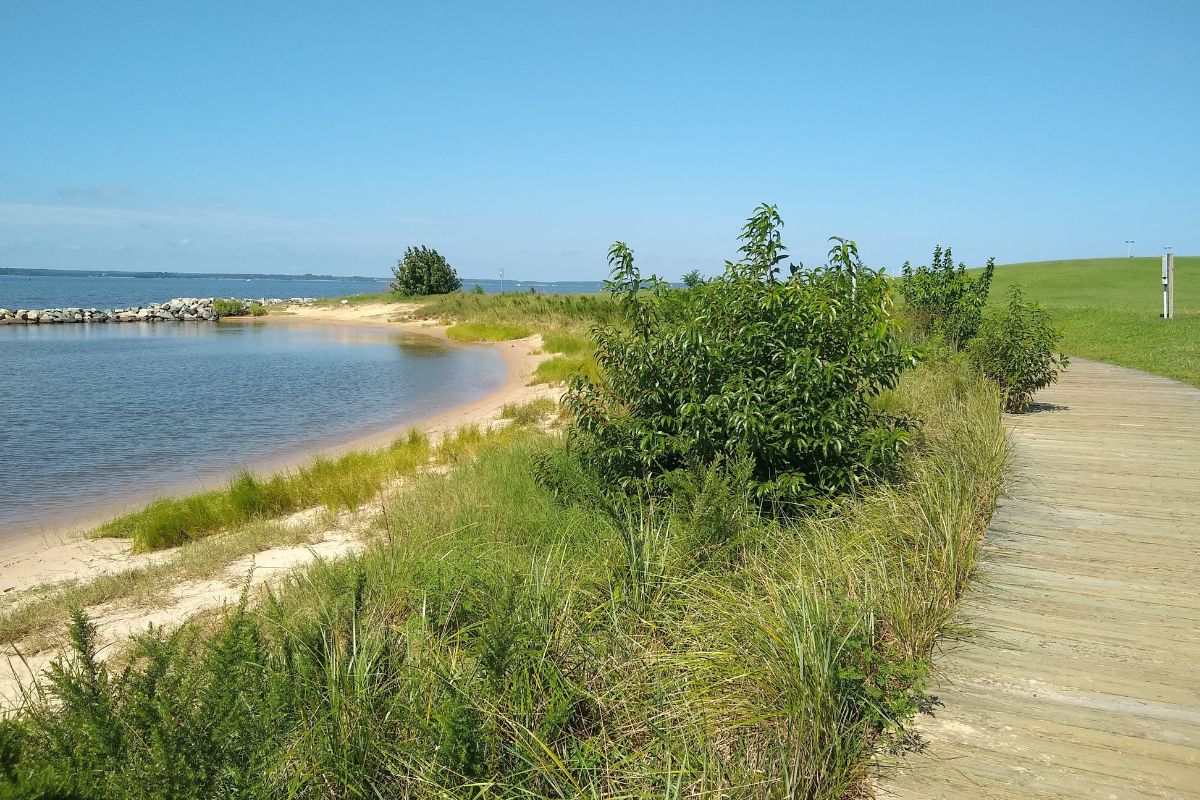 Cambridge-Waterfront-Bliss-At-Sailwinds-Park cambridge-waterfront-bliss-at-sailwinds-park