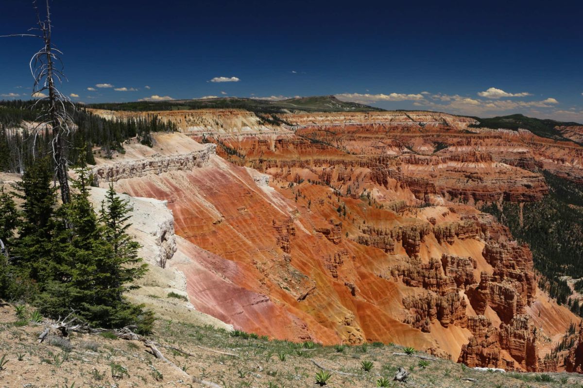 cedar-breaks-natures-grand-amphitheater-in-cedar-city