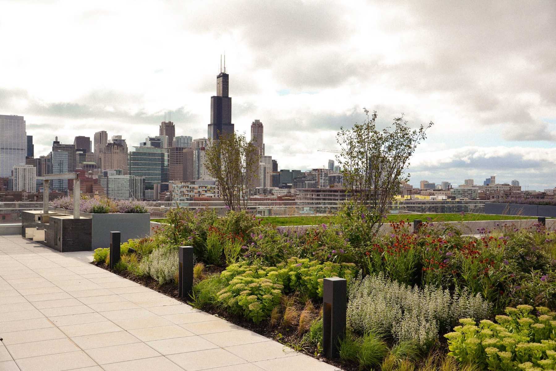 Chicago8217s-Secret-Rooftop-Gardens-Sky-High-Wonders chicagos-secret-rooftop-gardens-sky-high-wonders