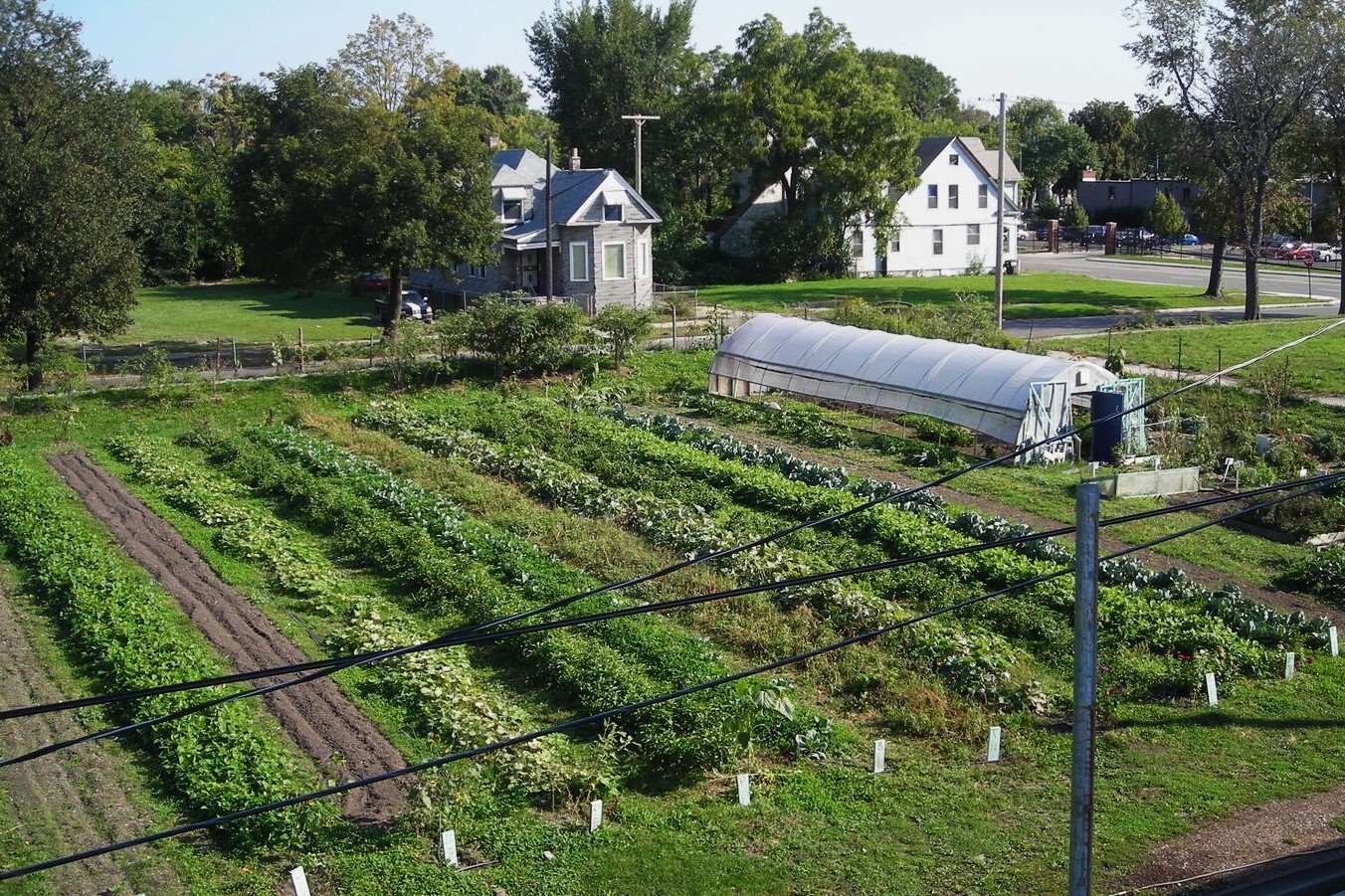 detroits-urban-farm-transformation