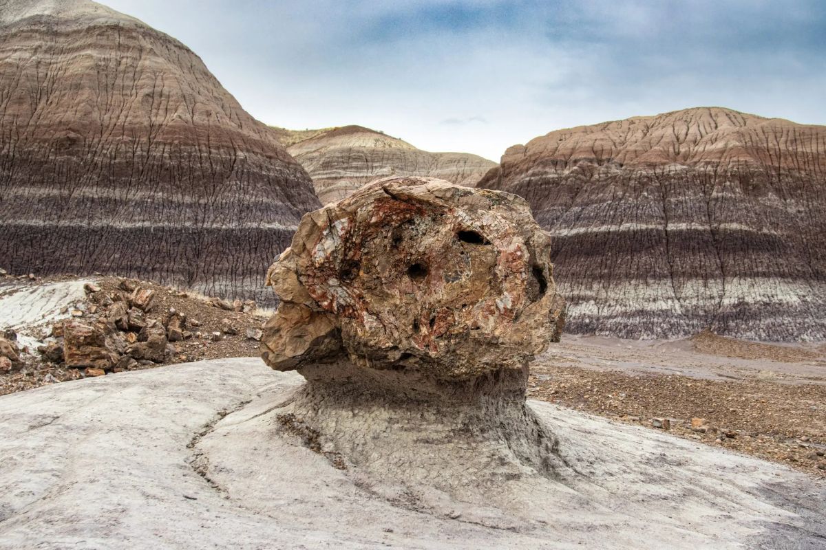 Discover-The-Hidden-Wonders-Of-Arizona8217s-Petrified-Forests-TouristSecrets discover-the-hidden-wonders-of-arizonas-petrified-forests-touristsecrets