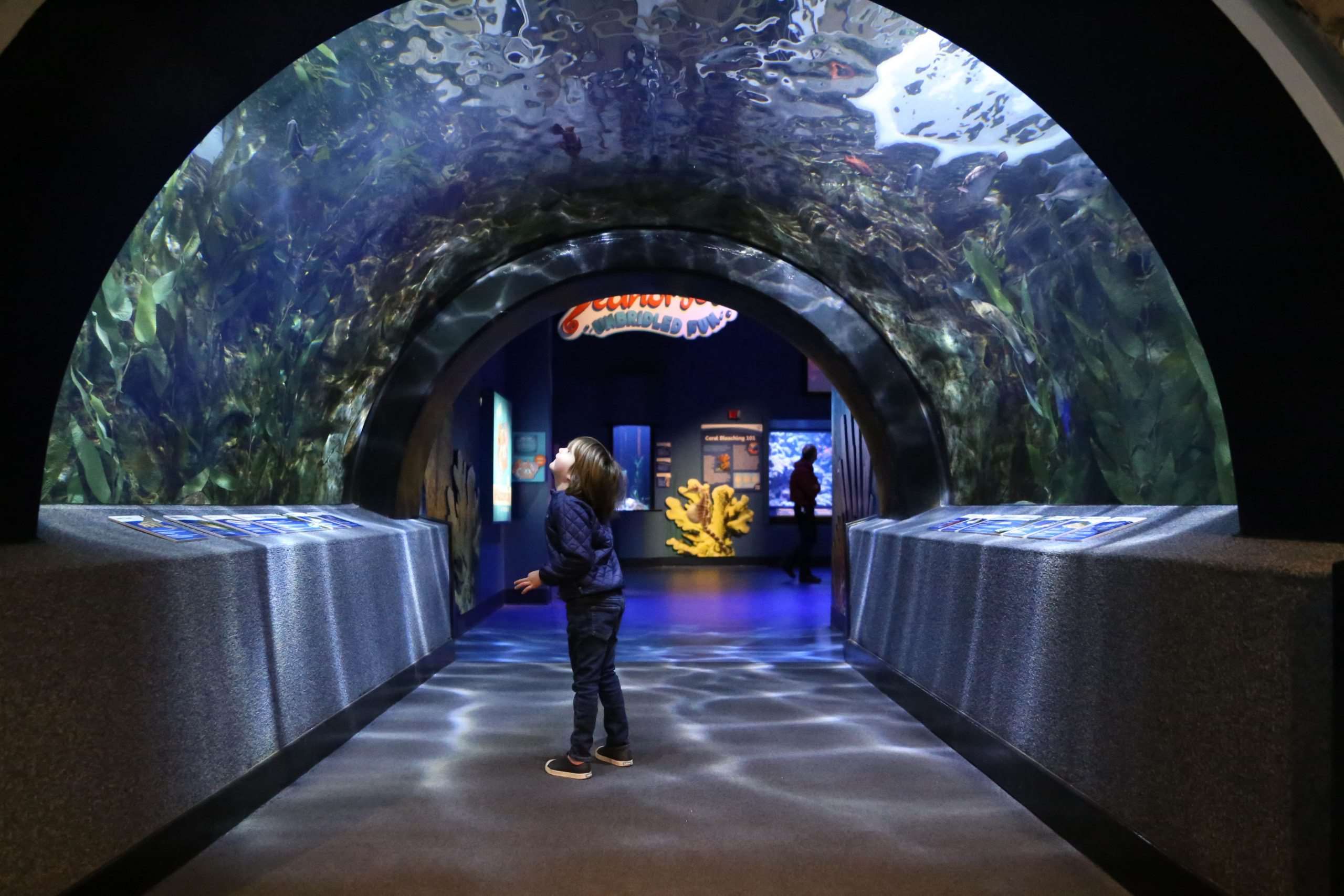 Dive-Into-Adventure-At-Newport-Aquarium dive-into-adventure-at-newport-aquarium